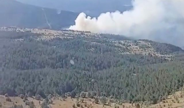 Orman yangını ekiplerin hızlı müdahalesiyle söndürüldü