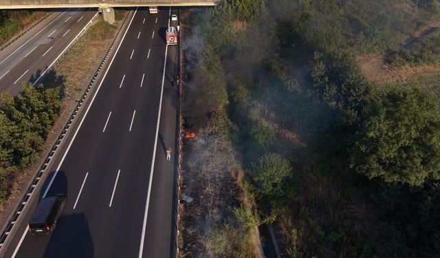 Otoyolda korkutan yangın: Yol kenarına atılan izmarit yangın çıkarttı
