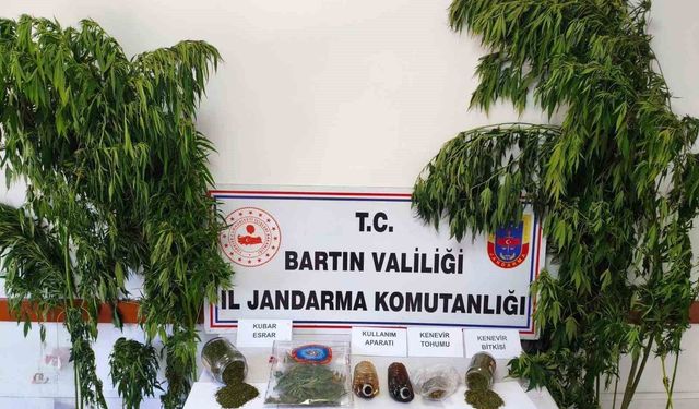 Uy*şturucu operasyonu: 1 gözaltı