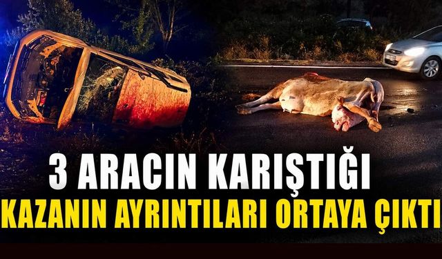 3 aracın karıştığı kazanın ayrıntıları ortaya çıktı
