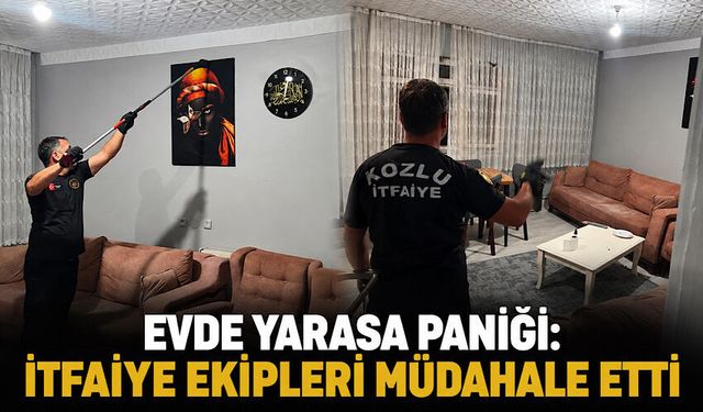 Evde yarasa paniği: İtfaiye ekipleri müdahale etti