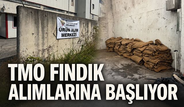 TMO fındık alımlarına başlıyor
