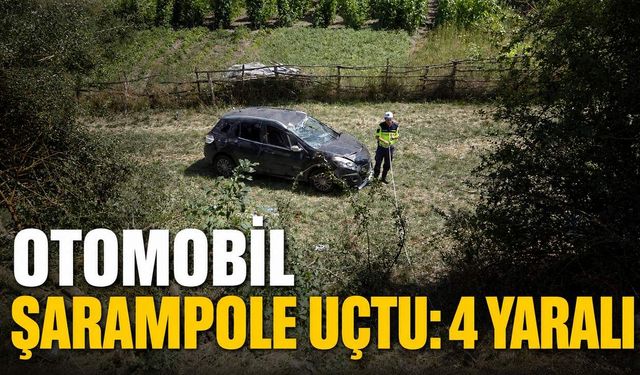 Otomobil şarampole uçtu: 4 yaralı