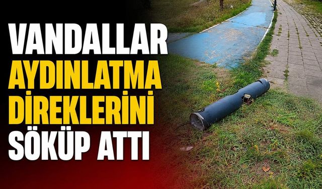 Vandallar aydınlatma direklerini söküp attı