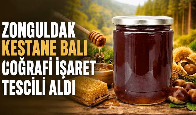 Zonguldak kestane balı coğrafi işaret tescili aldı