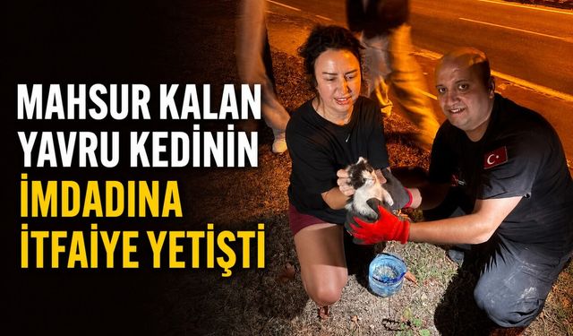 Mahsur kalan yavru kedinin imdadına itfaiye yetişti