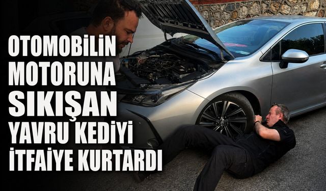 Otomobilin motoruna sıkışan yavru kediyi itfaiye kurtardı