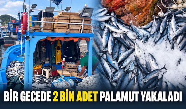Bir gecede 2 bin adet palamut yakaladı