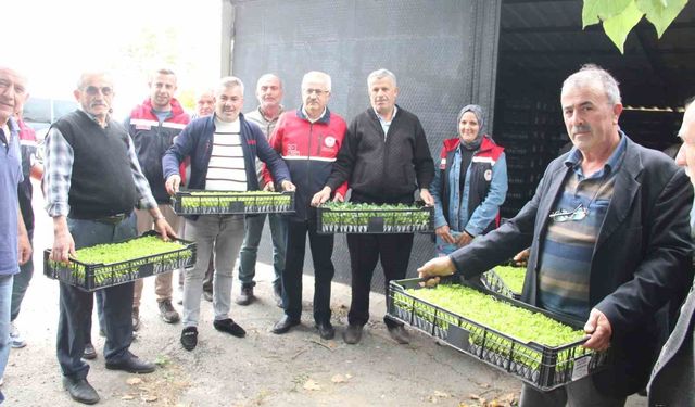65 çiftçiye 88 bin 400 adet sebze fidesi dağıtıldı