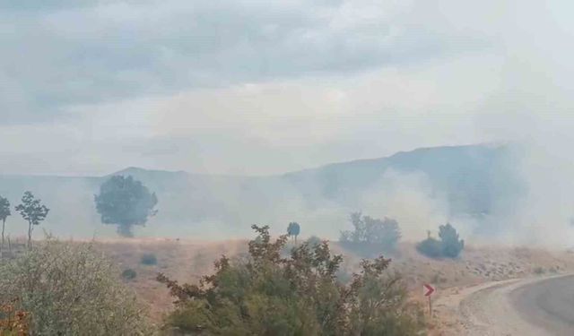 Arazi yangını ormanlık alana ulaşmadan söndürüldü