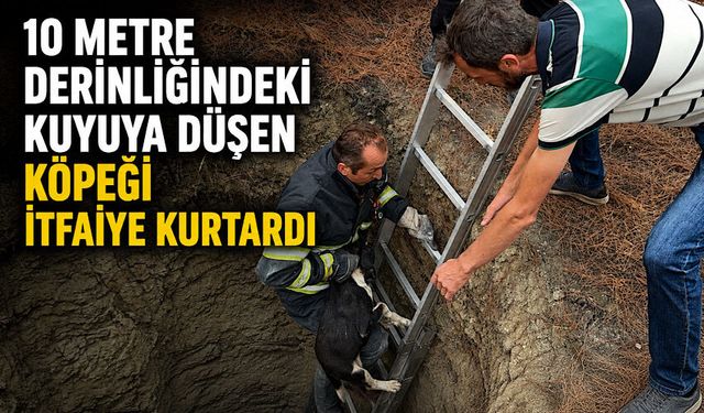 10 metre derinliğindeki kuyuya düşen köpeği itfaiye kurtardı