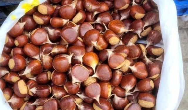 Kestane pazara indi: Kilogramı 400 liradan satılıyor