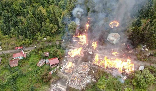 Köy yangınına müdahale sürüyor: 8 ev yanıyor