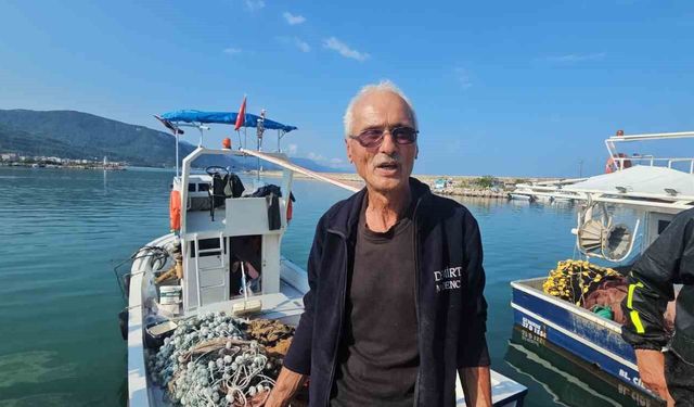 Palamut bolluğu: Tanesi 75 TL'ye satılıyor