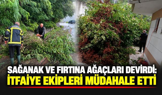 Sağanak ve fırtına ağaçları devirdi: İtfaiye ekipleri müdahale etti
