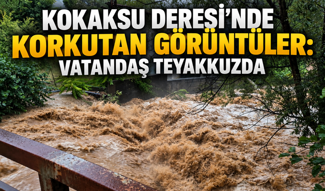 Kokaksu Deresi'nde korkutan görüntüler: Vatandaş teyakkuzda