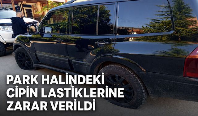 Park halindeki cipin lastiklerine zarar verildi