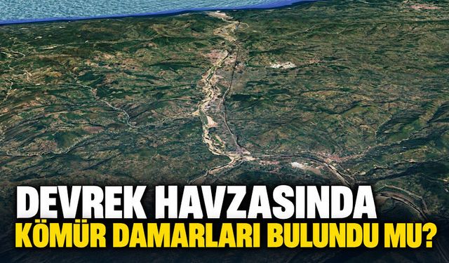 Devrek havzasında kömür damarları bulundu mu?