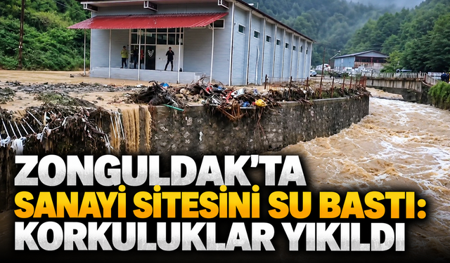 Zonguldak'ta sanayi sitesini su bastı: Korkuluklar yıkıldı