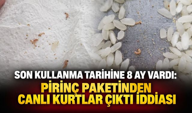 Son kullanma tarihine 8 ay vardı: Pirinç paketinden canlı kurtlar çıktı iddiası