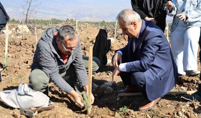 250 fidan toprakla buluştu