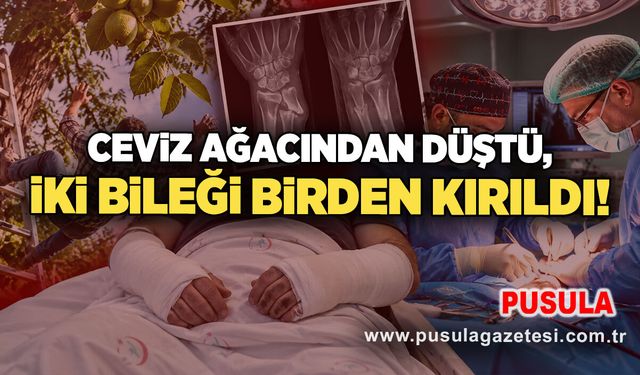 Ceviz ağacından düştü, iki bileği birden kırıldı!