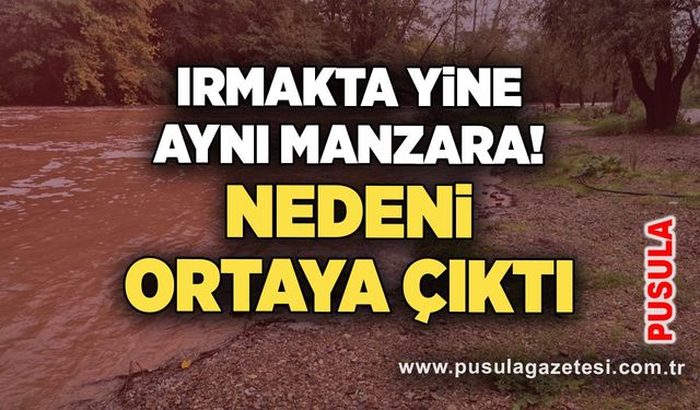 Irmakta yine aynı manzara! Nedeni ortaya çıktı