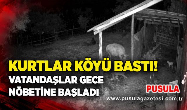 Kurtlar köyü bastı! Vatandaşlar gece nöbetine başladı