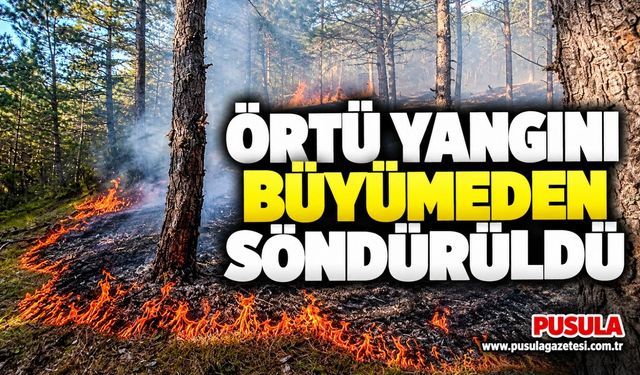Örtü yangını büyümeden söndürüldü