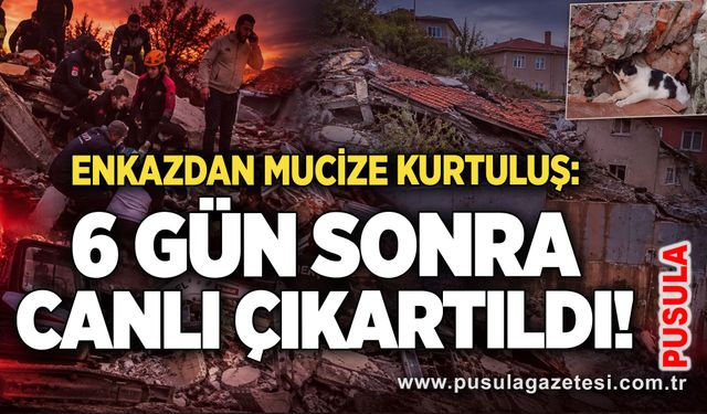 Enkazdan mucize kurtuluş: 6 gün sonra canlı çıkartıldı!