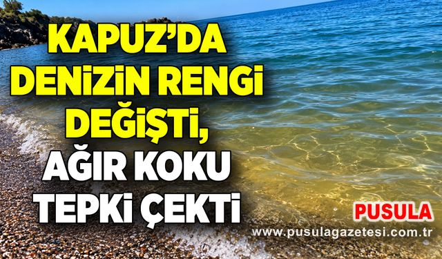 Kapuz’da denizin rengi değişti, ağır koku tepki çekti