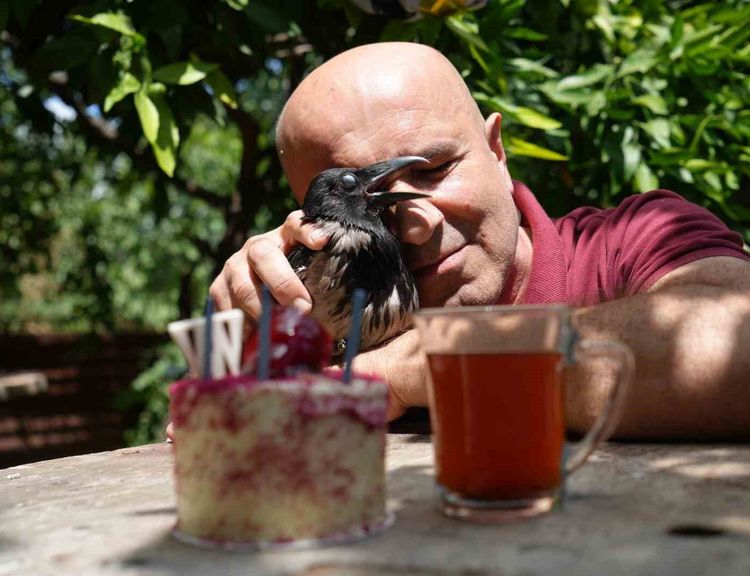 Rize çayı içen gurme kargaya özel doğum günü partisi