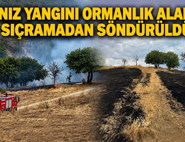 Anız yangını ormanlık alana sıçramadan söndürüldü