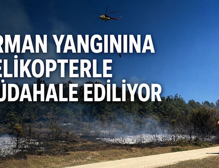 Orman yangınına helikopterle müdahale ediliyor