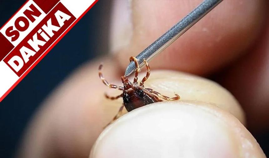 Uzmanı uyardı: "Keneler yeni konakçı arayabilir"
