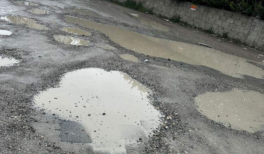Yol değil, köstebek yuvası