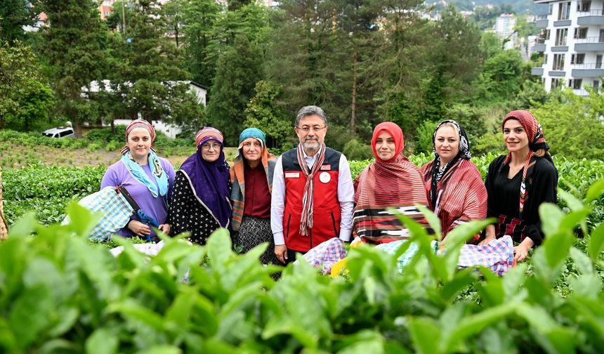Bakan İbrahim Yumaklı: İklim değişikliğinin çayda korktuğumuz etkisi olmadı