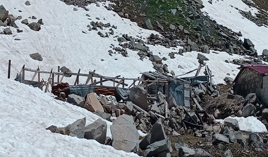 Yaylada çığ ve ayı tahribatı