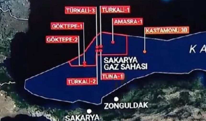 Sakarya gaz sahasından çıkarılan gazın kömürle ilgisi var mı?