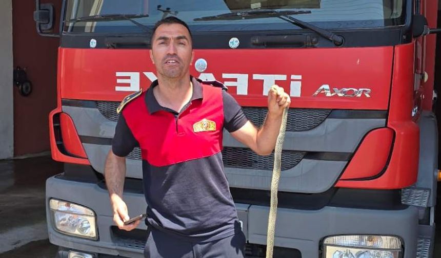 Sokakta oynayan çocukların gördüğü yılan korku yarattı