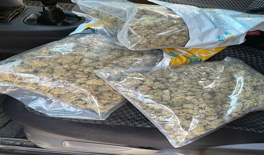 Hafif ticari aracında 1,5 kilo skunk ele geçirilen sürücüye gözaltı