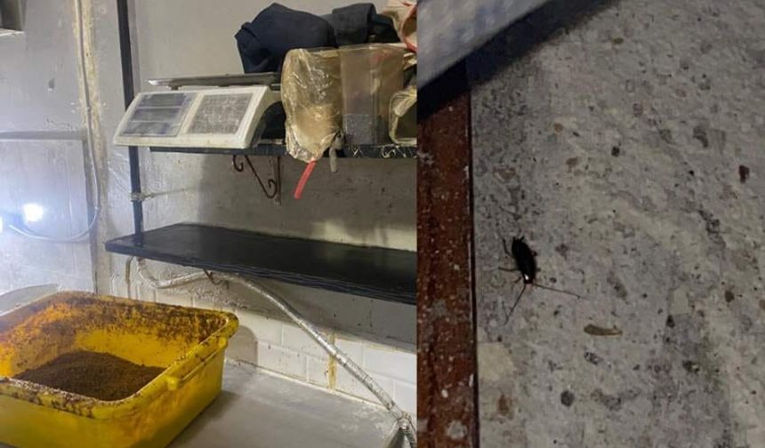 Burası simit fırını: Ekiplere şok yaşatan görüntüler