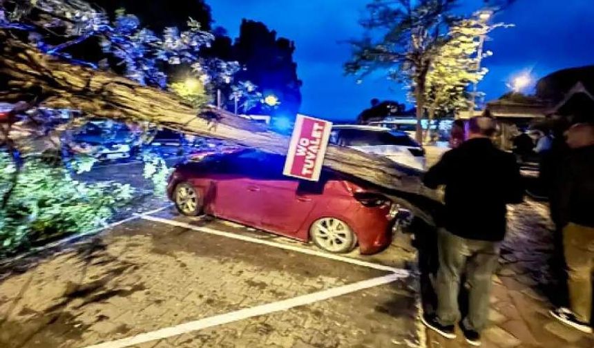 Fırtına etkili oldu: Park halindeki otomobilin üzerine ağaç devrildi