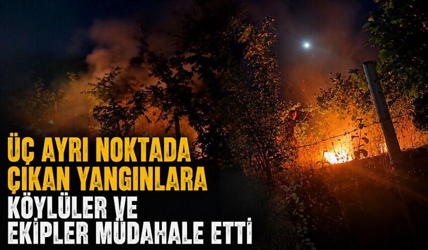 Üç ayrı noktada çıkan yangınlara köylüler ve ekipler müdahale etti