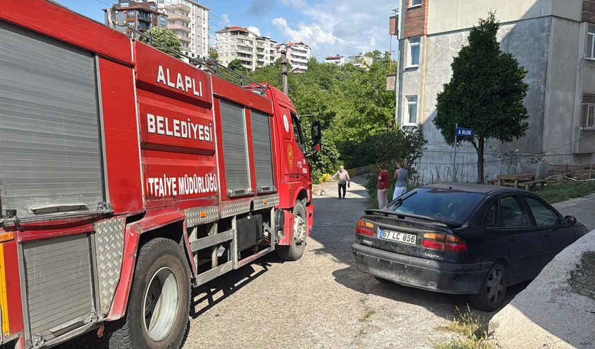 Alev topuna dönen piknik tüpü korkuttu