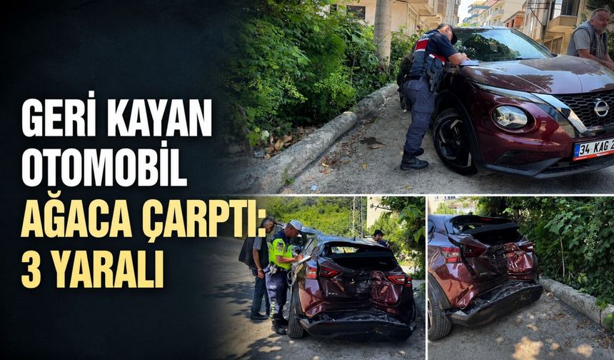 Geri kayan otomobil ağaca çarptı: 3 yaralı