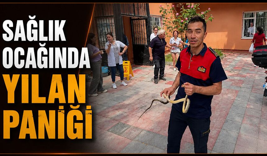 Sağlık ocağında yılan paniği