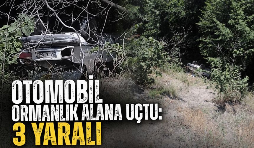 Otomobil ormanlık alana uçtu: 3 yaralı