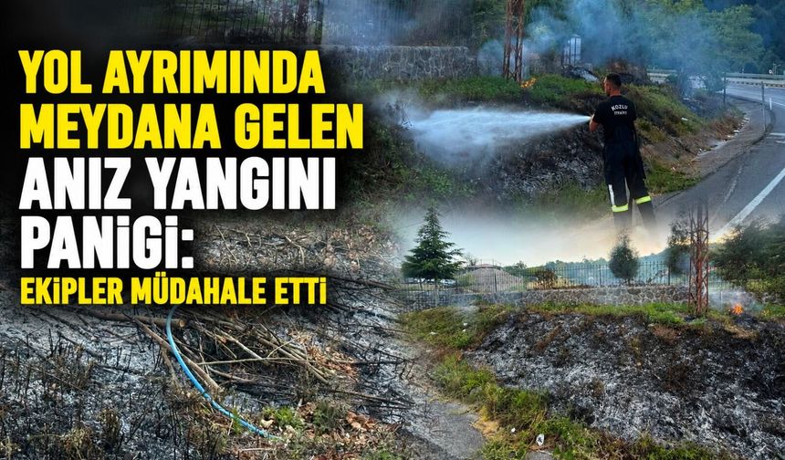 Yol ayrımında meydana gelen anız yangını paniği: Ekipler müdahale etti