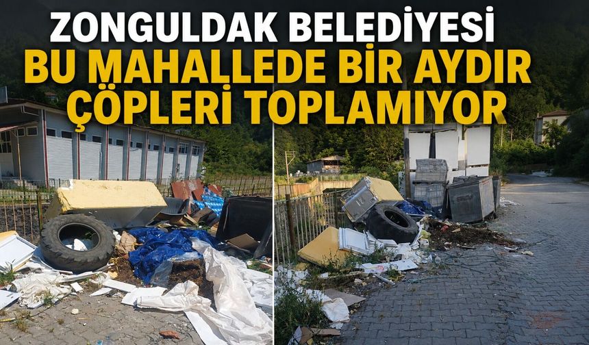 Zonguldak Belediyesi bu mahallede bir aydır çöpleri toplamıyor
